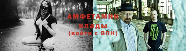 прущие грибы Осташков