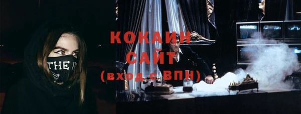 прущие грибы Осташков