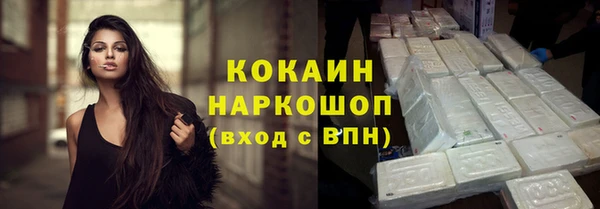 прущие грибы Осташков
