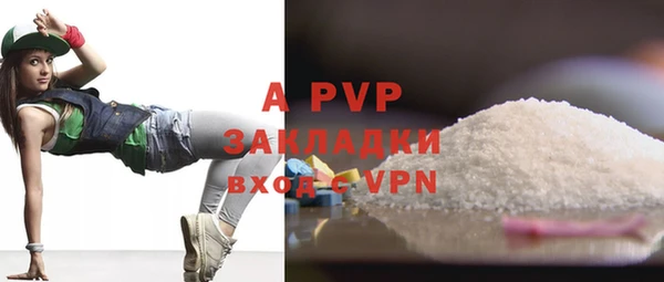 прущие грибы Осташков