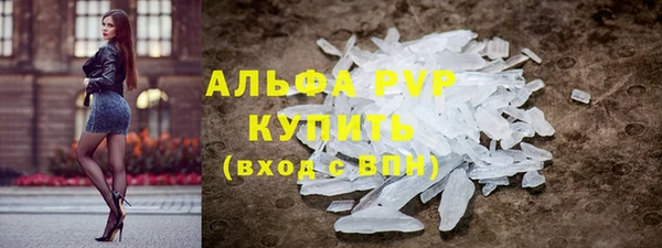 прущие грибы Осташков